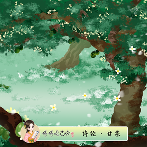 少女初婚真人版 免费
