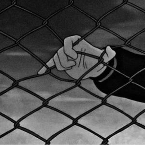 少女初婚真人版 免费
